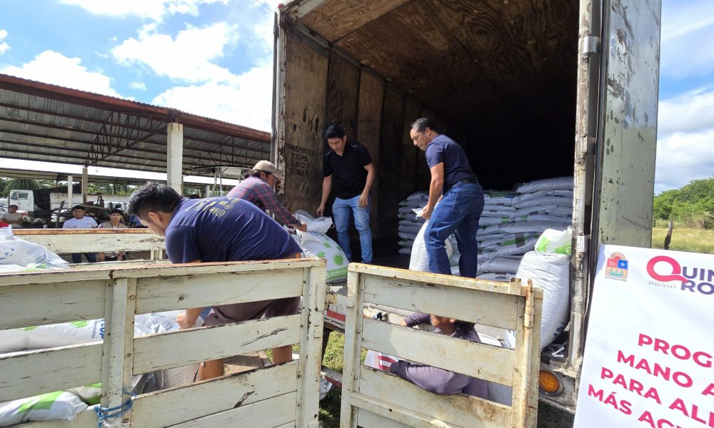 GOBIERNO DE QUINTANA ROO INVIERTE 6.6 MDP PARA EL SECTOR PESQUERO ...